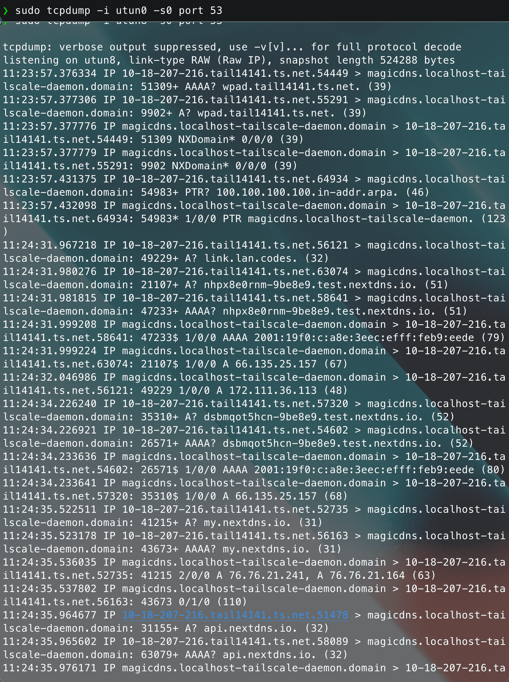 tcpdump on utun0 verifying NextDNS test endpoints over Tailscale MagicDNS